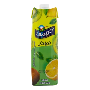 domty kiwi lemon mint 1000ml