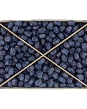 haramain ajwa madinah date jumbo