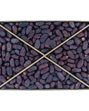 haramain safawi madinah date aa