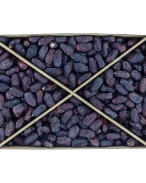 haramain safawi madinah date jumbo