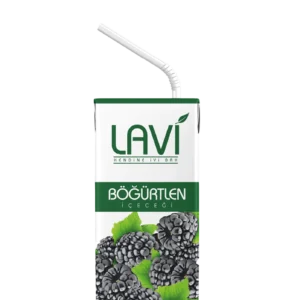 lavi blackberry fruit drink 200ml